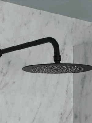 Tête de douche Ronde en Acier Inox Noir