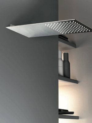 Tête de douche Extraplate Inox Pluie
