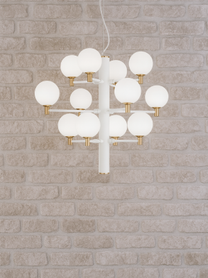 Suspension Olyra