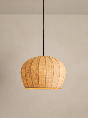 Suspension Osa GM
