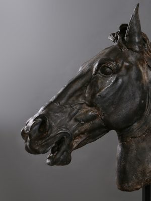 Cheval de Sélène