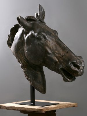 Cheval de Sélène