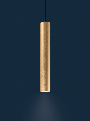 Suspension Axis or