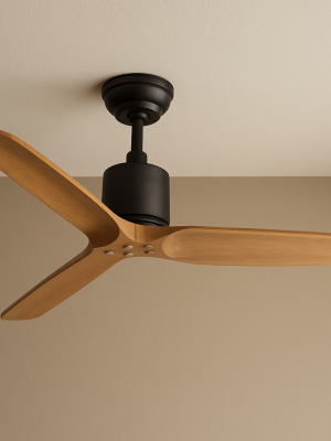 Ventilateur Amazonia