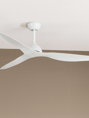 Ventilateur Boréal