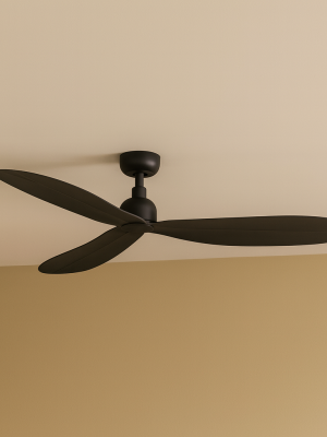 Ventilateur Palm