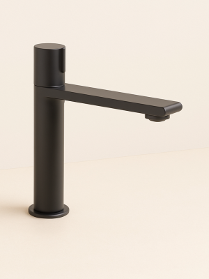 Mitigeur Arao Noir mat