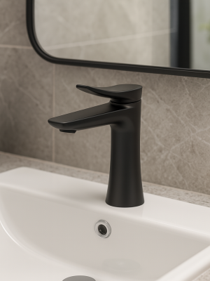 Mitigeur Lydia Noir satiné