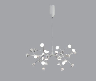 Capture d’écran 2026-02-06 151830